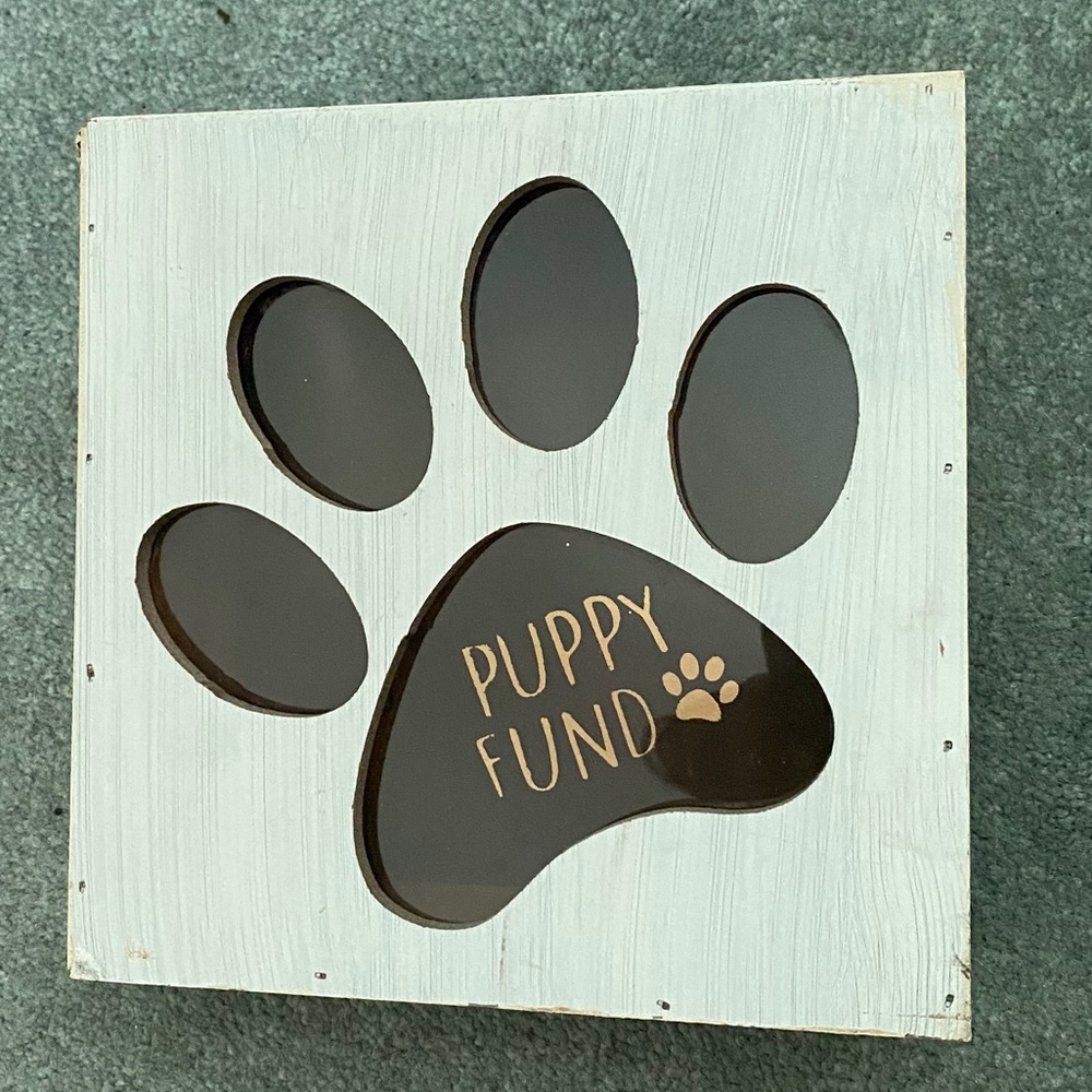 Adorable puppy fund bank